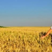 Agricoltura e giovani, in Italia un connubio vincente