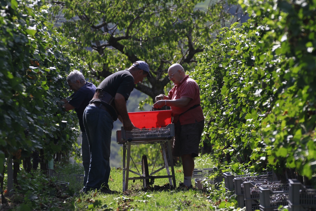 CANTINA VALPANTENA SI CONSOLIDA E INVESTE IN NUOVI BRAND