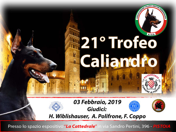 #amatoridobermann Aiad organizza un evento straordinario il 21’ trofeo Caliandro