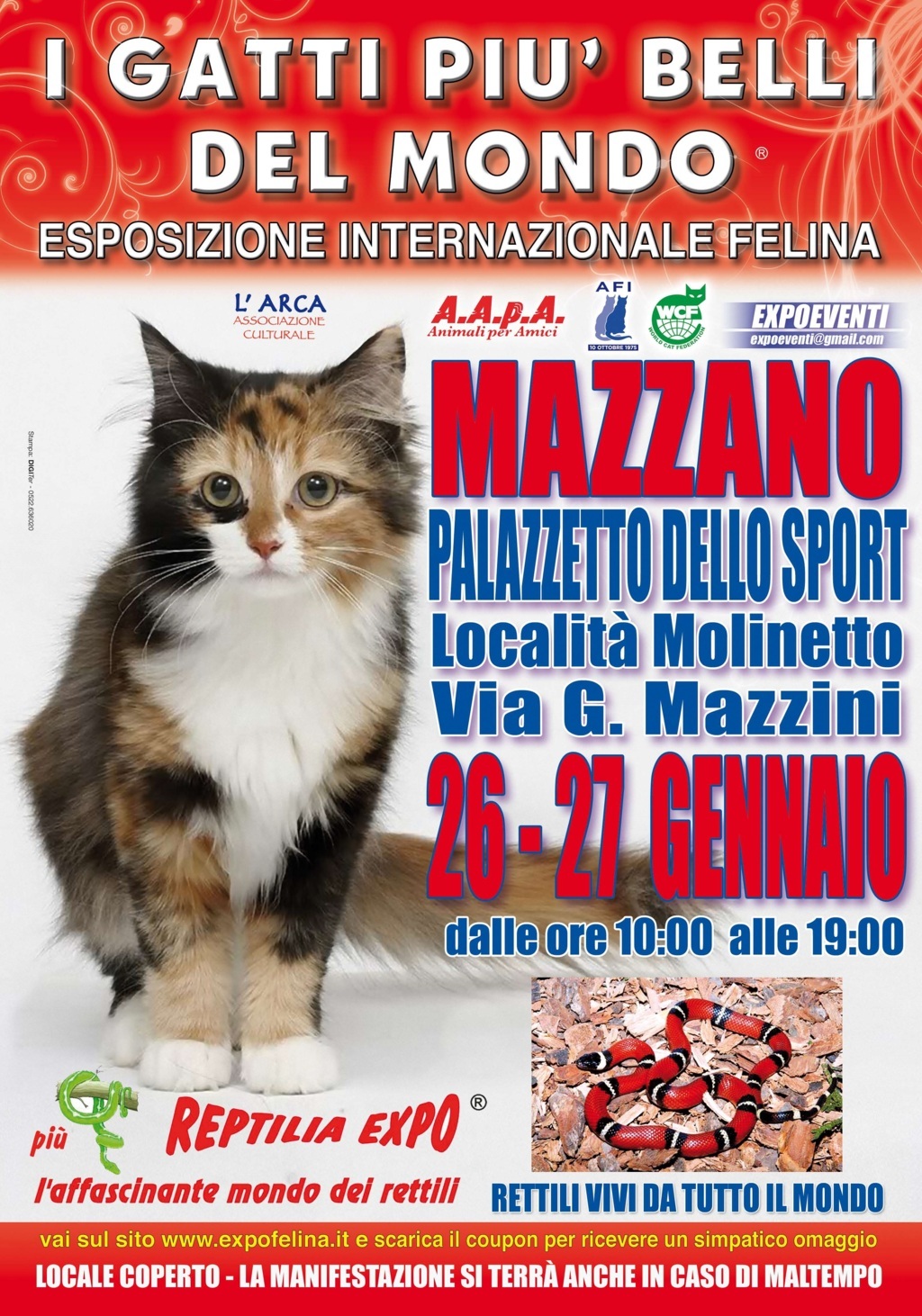 I Gatti Più Belli del Mondo in passerella al Palasport di Mazzano (Brescia)