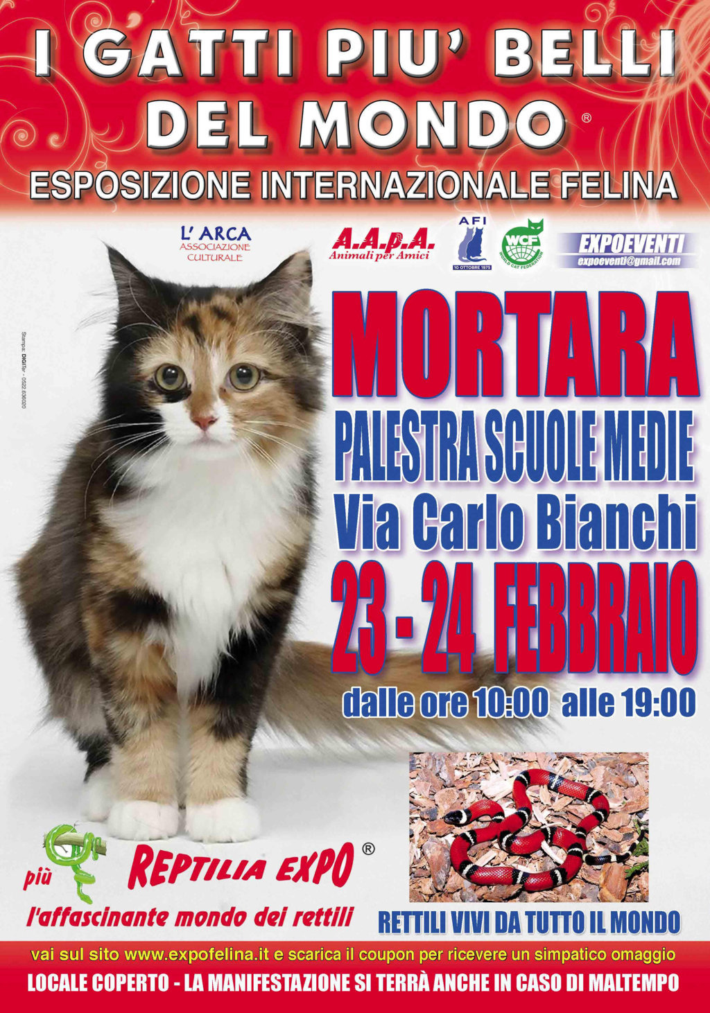 I Gatti Più Belli del Mondo in passerella a Mortara (Pavia)