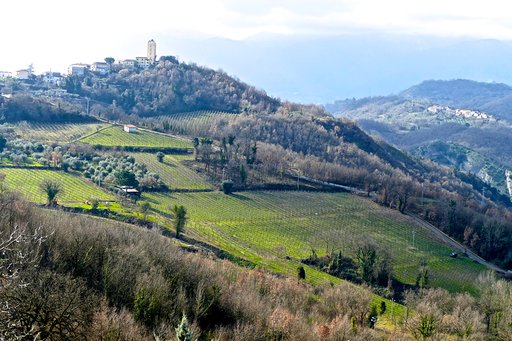 Greco di Tufo, Oro d'Irpinia, Vino come cultura, economia, turismo