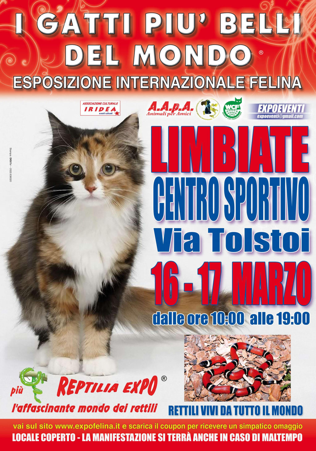 I Gatti Più Belli del Mondo in passerella al Centro Sportivo di LIMBIATE)