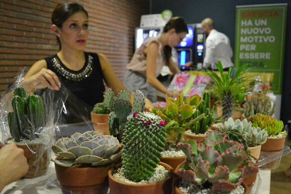 UNA FIERA PER VIVERE IL VERDE: A BRESCIA SBOCCIA COSMOGARDEN