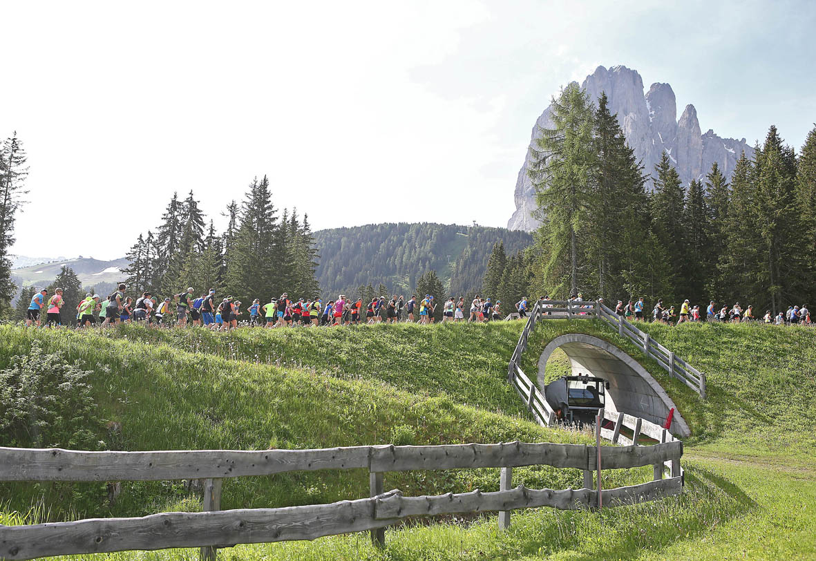 DOLOMITES SASLONG TRA LE DOLOMITI UNESCO. ALL’ASSALTO DEI 300 PETTORALI RIMANENTI