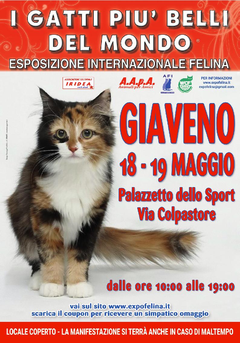 I Gatti Più Belli del Mondo al palasport di Giaveno