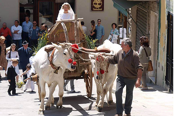 Folclore e enogastronomia nel fine settimana de “La valle del Gigante Bianco”