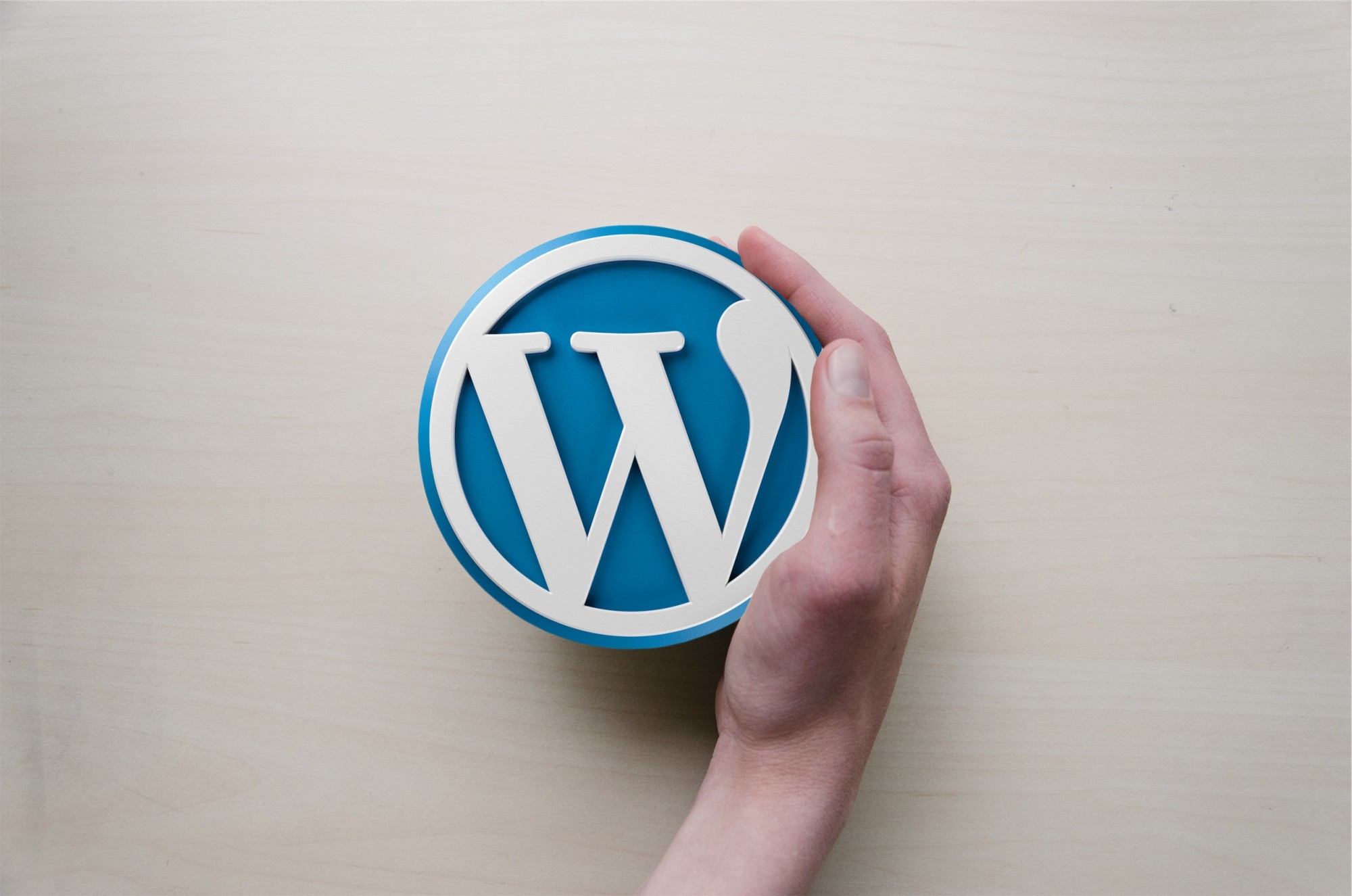 Come fare Dropshipping con WordPress: una guida.