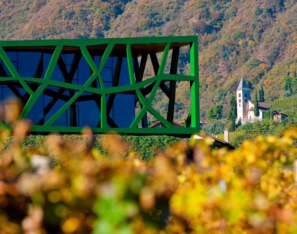 ALLA CANTINA TRAMIN UN INCONTRO TRA I GRANDI ESPERTI DI GEWÜRZTRAMINER, IL VITIGNO PIÙ CONTROVERSO AL MONDO