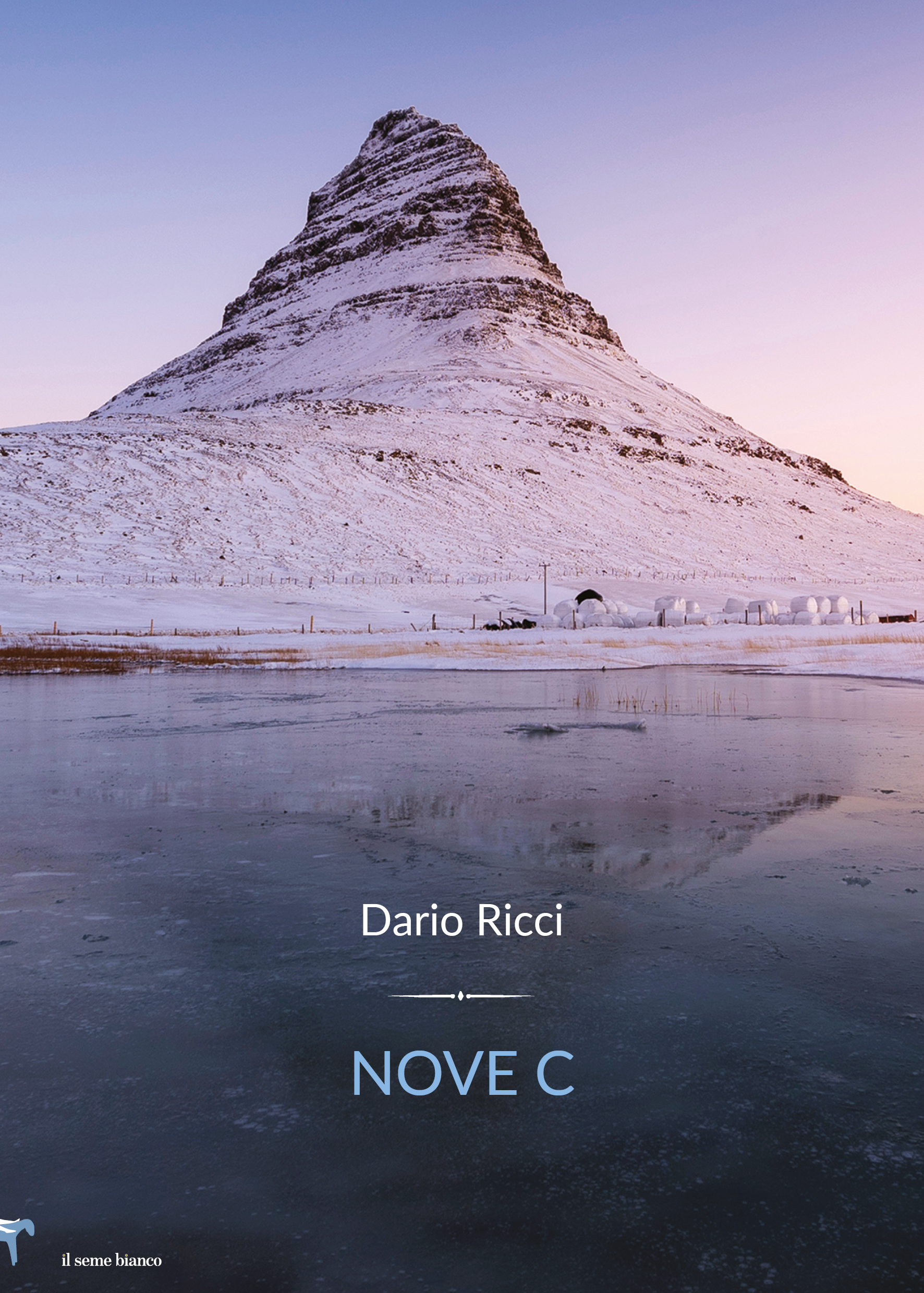 Dario Ricci presenta il romanzo “Nove C”