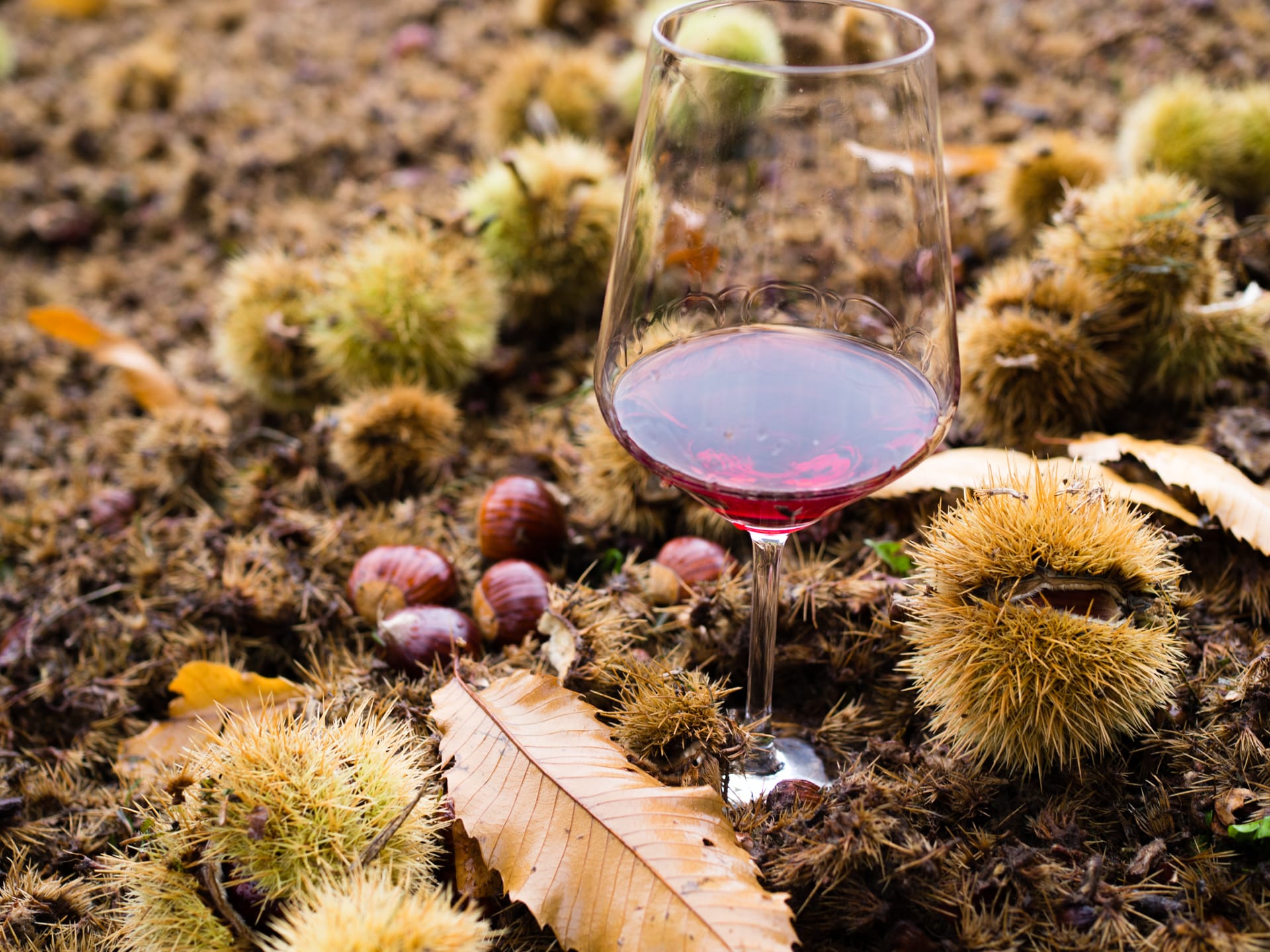 SAN ZENO DI MONTAGNA, BUONA LA PRIMA: TUTTO ESAURITO ALLA FESTA DELLE CASTAGNE E DEL MARRONE  DOP