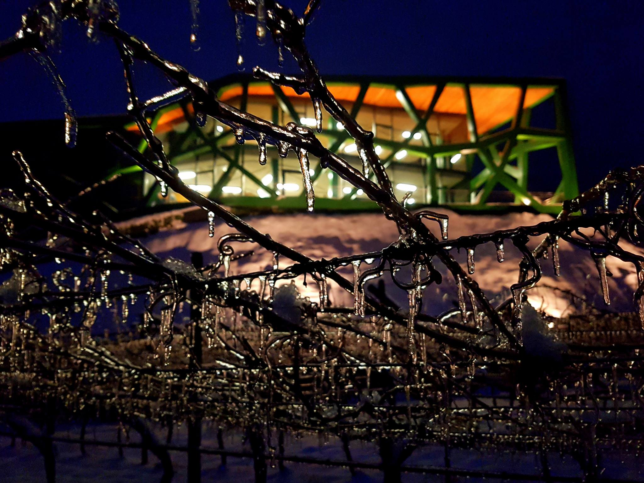 IL NATALE DEI CINQUE SENSI: I SAPORI DELLE FESTE TORNANO A CANTINA TRAMIN