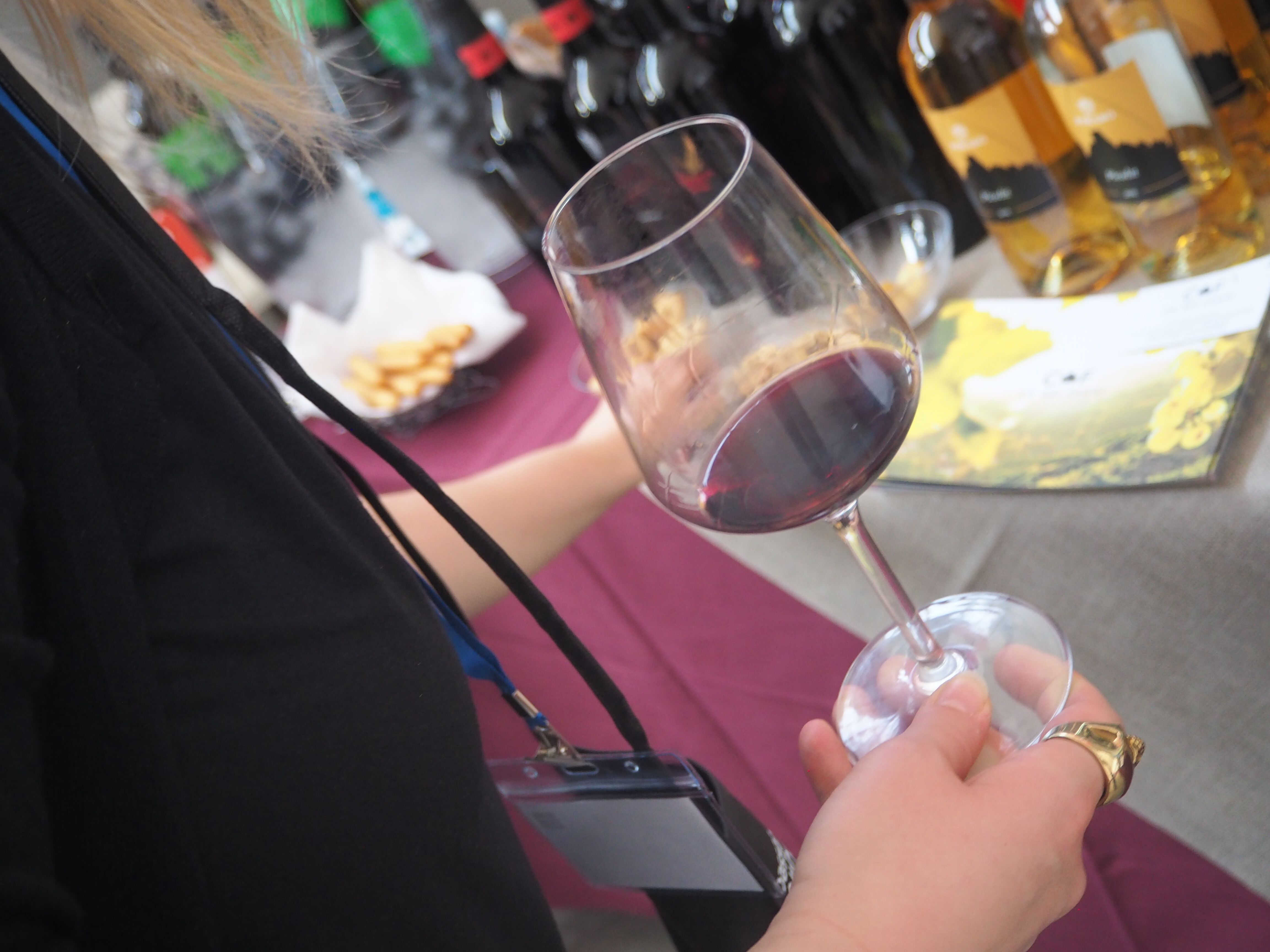 AL VIA IL BASSANO WINE FESTIVAL: DEGUSTAZIONI E ACQUISTI TRA LE CANTINE D'ITALIA