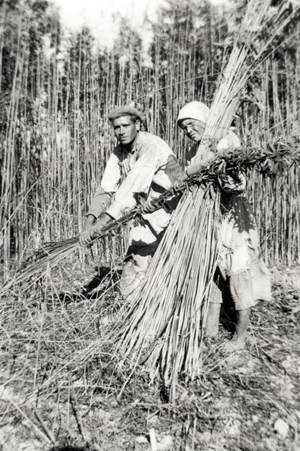 In Umbria fra i sapori della Valnerina: miele, tartufo e canapa