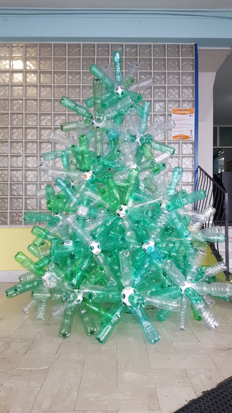 A Natale è spuntato il Riciclalbero