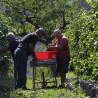 CANTINA VALPANTENA SI CONSOLIDA E INVESTE IN NUOVI BRAND