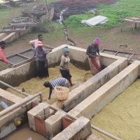 In Etiopia con CSC, il  fascino della terra d’origine del caffè