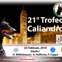 #amatoridobermann Aiad organizza un evento straordinario il 21’ trofeo Caliandro