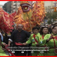 Capodanno Cinese a Roma l ‘anno del Maiale