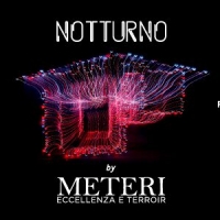 NOTTURNO: METERI PORTA A STRA L'EUROPA DEL VINO NATURALE