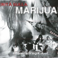 Pensa con la tua testa e scopri  “La verità sulla marijuana” 