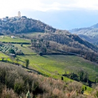 Greco di Tufo, Oro d'Irpinia, Vino come cultura, economia, turismo