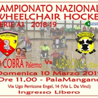 Wheelchair hockey: domenica 10 marzo i Red Cobra scendono in campo per sfidare l’Albalonga W. H.