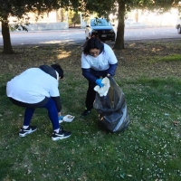 Pulizia dell'area verde di via  Brodolini a Marotta; piccole azioni sull'ambiente che fanno la differenza 