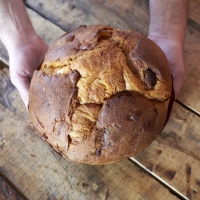 IL PANETTONE FILIPPI CONQUISTA L'AMERICA: ARGENTO AI SOFI™ AWARDS