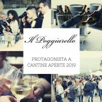 Il Poggiarello presente a Cantine Aperte 2019: successo di presenze e un’esperienza di gusto senza precedenti