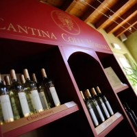 CANTINA VALPANTENA INCORPORA CANTINA COLLI MORENICI