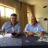 ASSOCIAZIONE DEI VINI VERONESI E VINHO VERDE: SIGLATO L’ACCORDO DI COLLABORAZIONE DA 2,3 MILIONI DI EURO