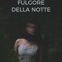 “Fulgore della notte”: il romanzo d’esordio di Omar Viel in libreria dal 30 settembre per Adiaphora Edizioni