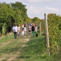 Casa Cayega vi aspetta a Tenuta Carretta!