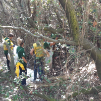 10.000 PER L'AMBIENTE SUL LITORALE ROMANO