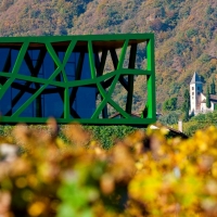 ALLA CANTINA TRAMIN UN INCONTRO TRA I GRANDI ESPERTI DI GEWÜRZTRAMINER, IL VITIGNO PIÙ CONTROVERSO AL MONDO