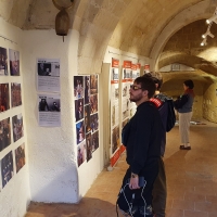 Matera proroga la mostra antologica su Pasolini curata da Sgarbi e Nugnes