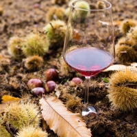 SAN ZENO DI MONTAGNA, BUONA LA PRIMA: TUTTO ESAURITO ALLA FESTA DELLE CASTAGNE E DEL MARRONE  DOP