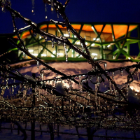 IL NATALE DEI CINQUE SENSI: I SAPORI DELLE FESTE TORNANO A CANTINA TRAMIN