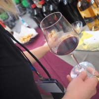 AL VIA IL BASSANO WINE FESTIVAL: DEGUSTAZIONI E ACQUISTI TRA LE CANTINE D'ITALIA