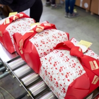 PASTICCERIA FILIPPI: UN PANETTONE BUONO DENTRO E FUORI