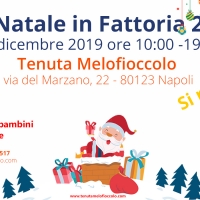 Natale in Fattoria 2 alla Tenuta Melofioccolo, si replica!