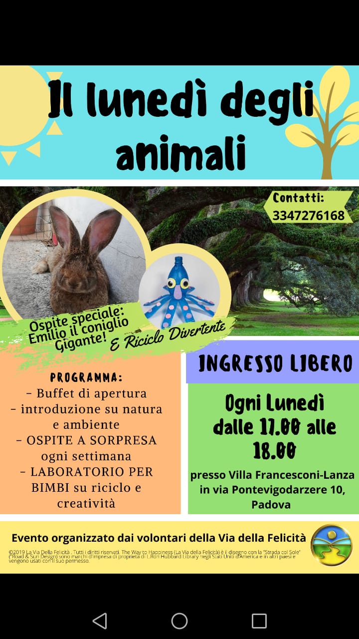 Il lunedì degli animali: ecologia e riciclo divertente