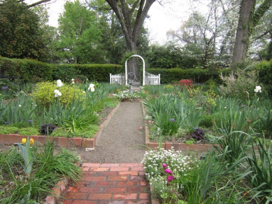 In Giardino: Abbellisci Facilmente il Giardino