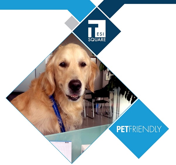 TESISQUARE® promuove l'ufficio Pet-Friendly 