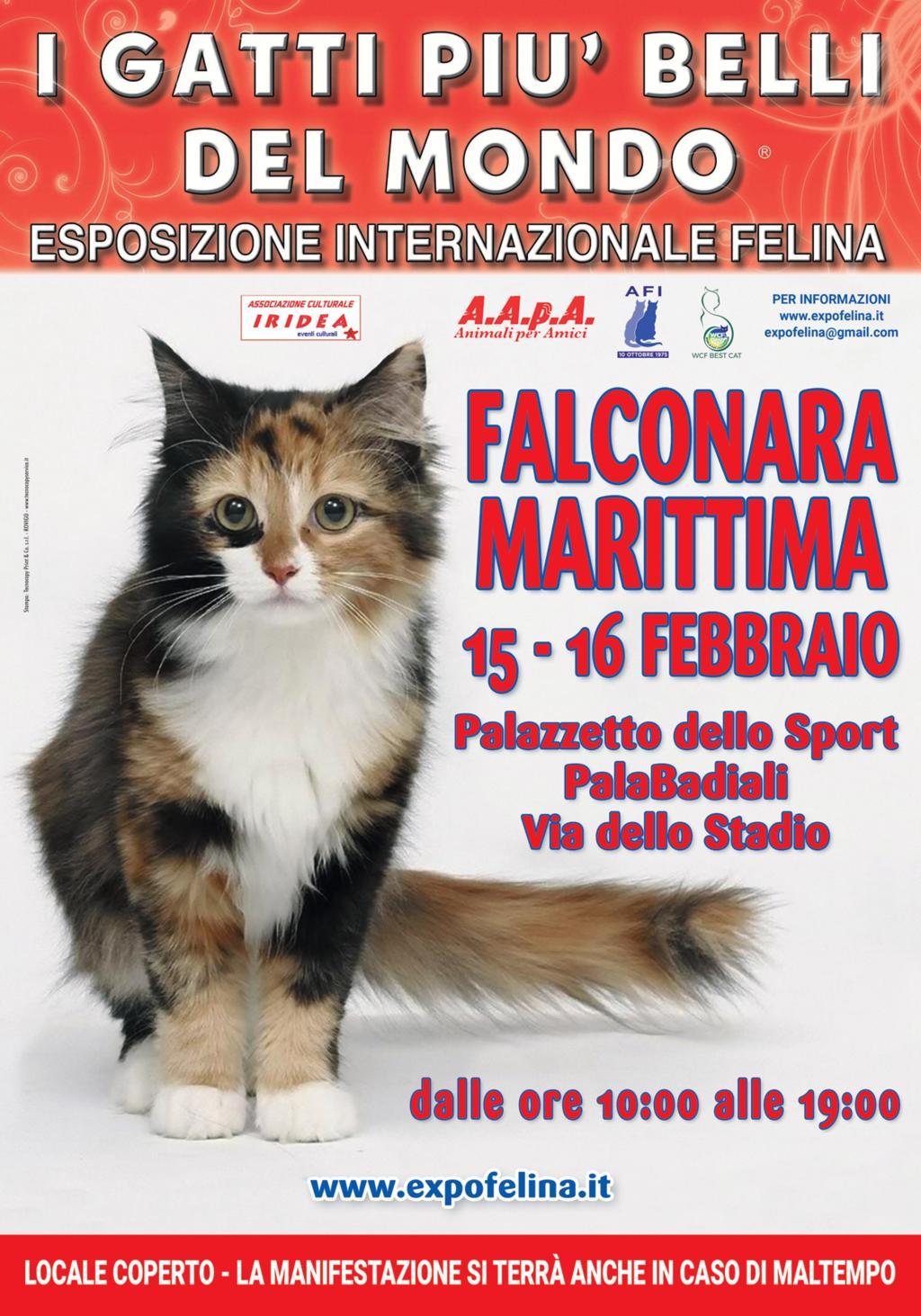 I Gatti Più Belli del Mondo al Palasport PalaBadiali di FALCONARA MARITTIMA