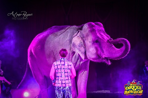 La grande carica emozionale del Maya Orfei Circo Madagascar a Civitanova Marche