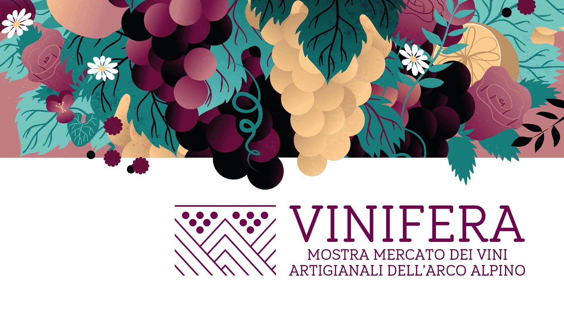 VINIFERA FORUM 2020: DODICI APPUNTAMENTI ASPETTANDO IL SALONE