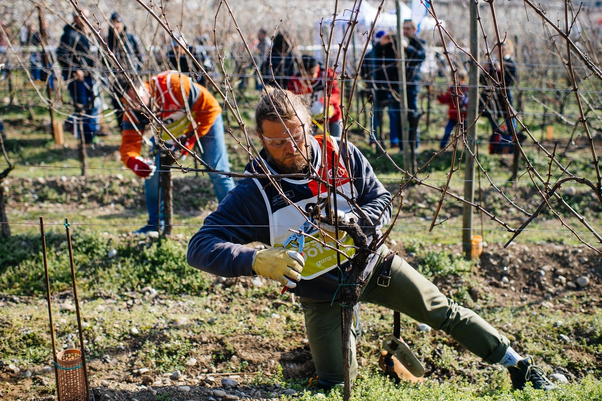 Il 29 Febbraio 2020 in Chianti Classico il 2° Festival del Potatore della vite ideato e organizzato da Simonit&Sirch