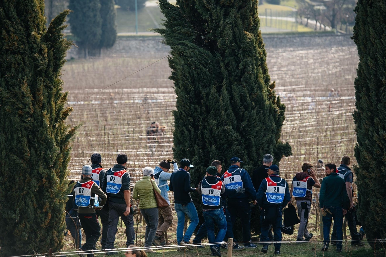 29 Febbraio: 2° Festival del Potatore della vite, Pruning Contest ideato e organizzato da Simonit&Sirch